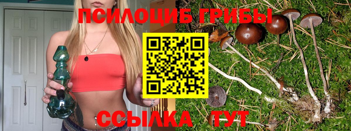 купить наркоту  Вход с VPN  Галлюциногенные грибы Cubensis  Истра  Псилоцибиновые грибы GOLDEN TEACHER 