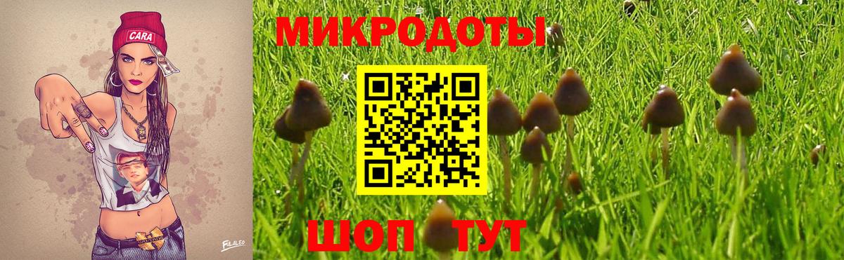 Галлюциногенные грибы ЛСД Истра