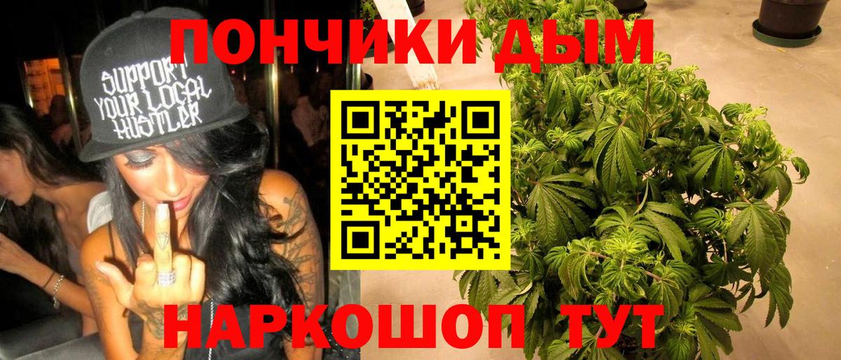 Бошки Шишки ГИДРОПОН Истра